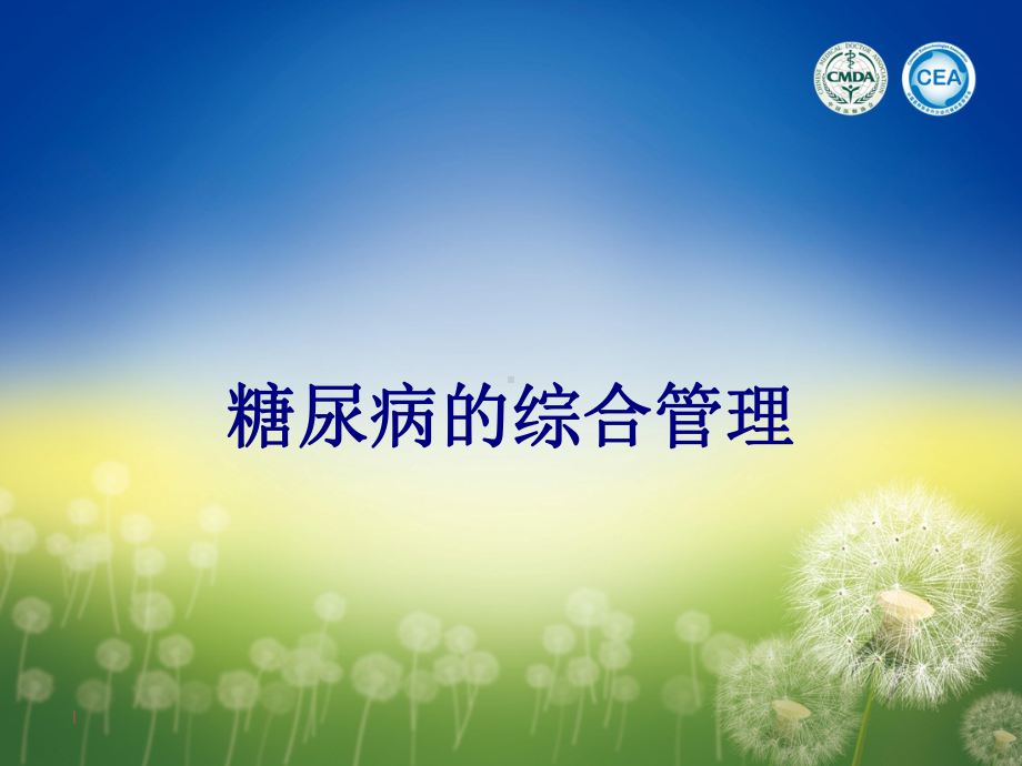 糖尿病的综合管理PPT培训课件.ppt_第1页