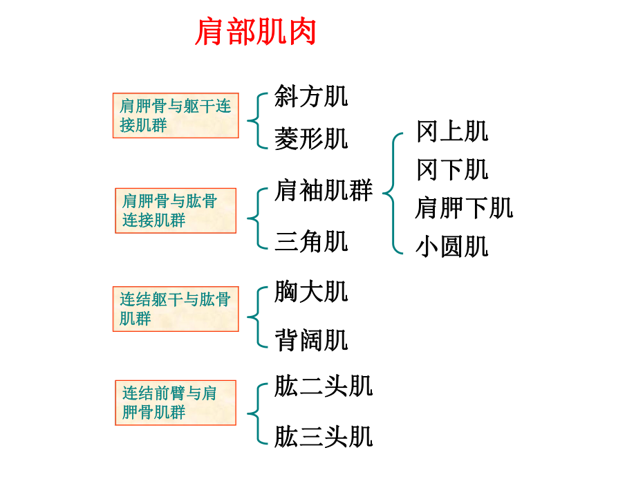 人体各部位运动损伤医学PPT课件.ppt_第3页