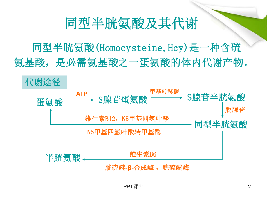 高同型半胱氨酸血症-ppt课件.ppt_第2页