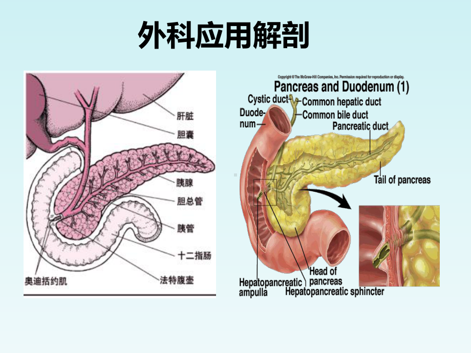 医学课件胰腺外科常用手术术式.ppt_第1页