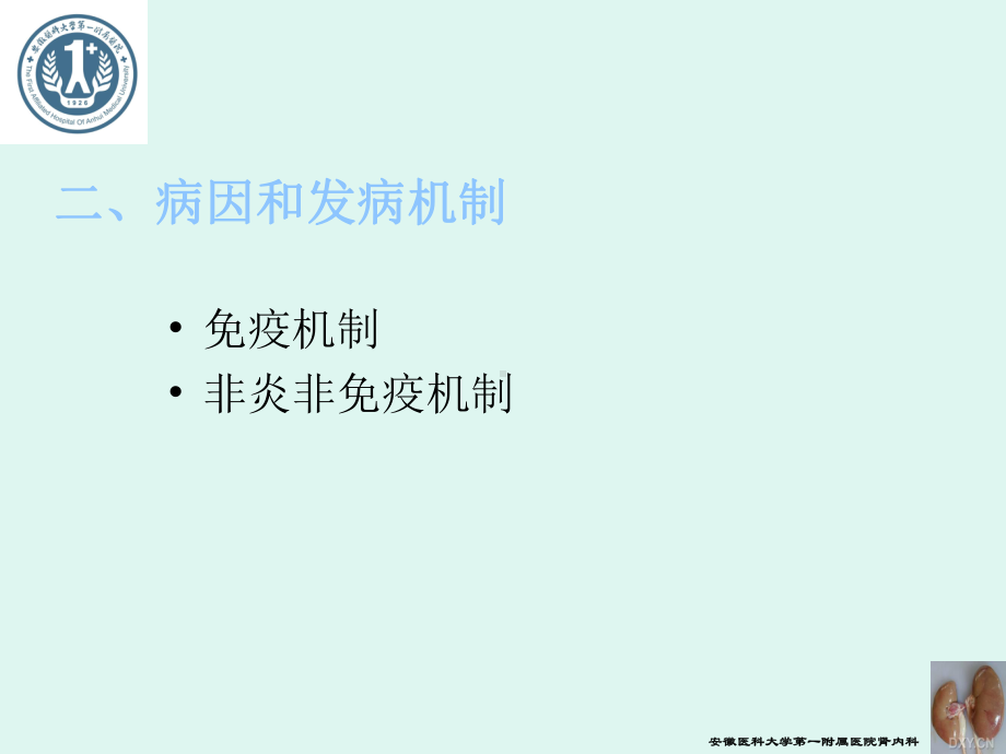 慢性肾小球肾炎-PPT课件.ppt_第2页