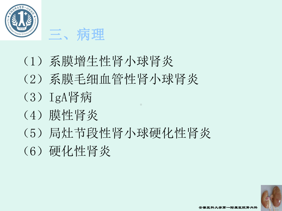 慢性肾小球肾炎-PPT课件.ppt_第3页