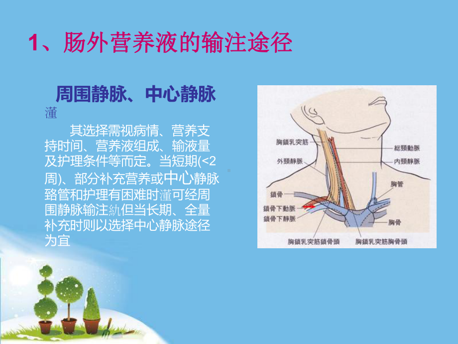 静脉高营养治疗的护理-ppt课件.ppt_第2页