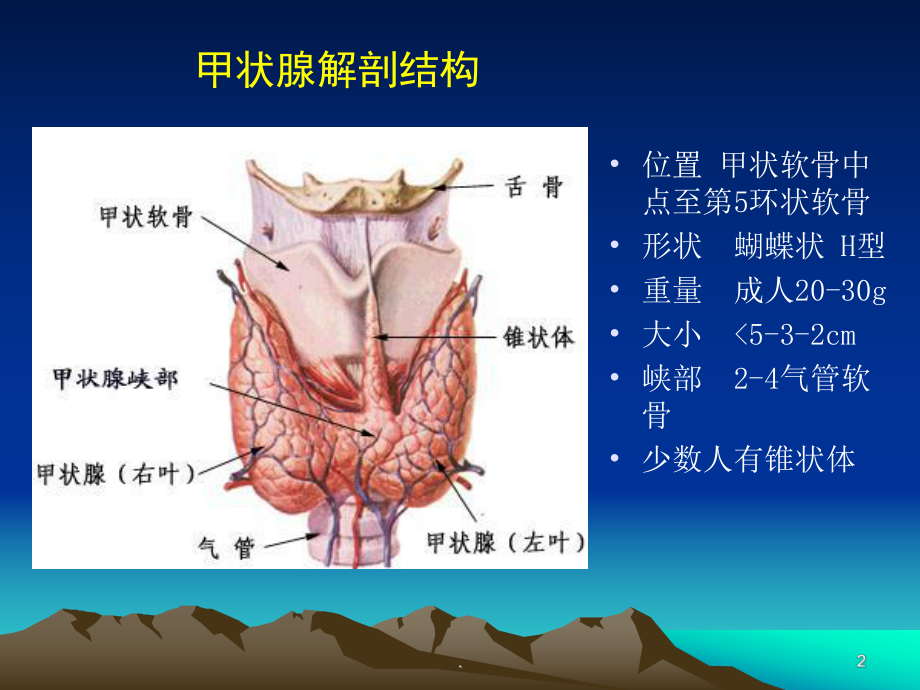 甲状腺功能亢进症护理查房PPT课件.ppt_第2页