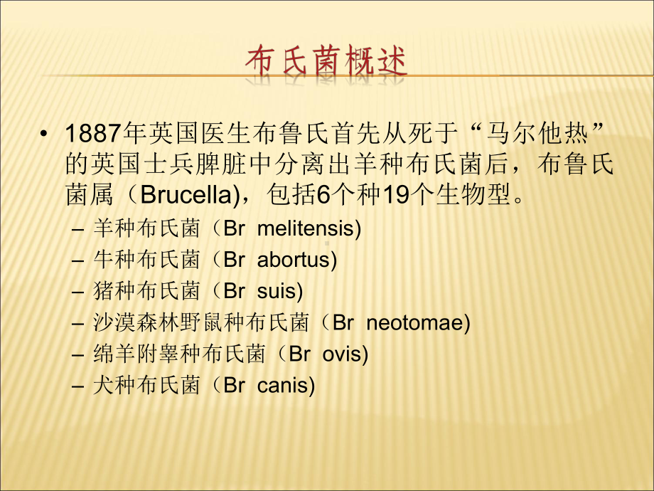 （课件）布病-布鲁氏杆菌病PPT.ppt_第3页