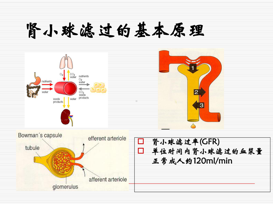 CVVH治疗剂量计算及选择课件.ppt_第3页