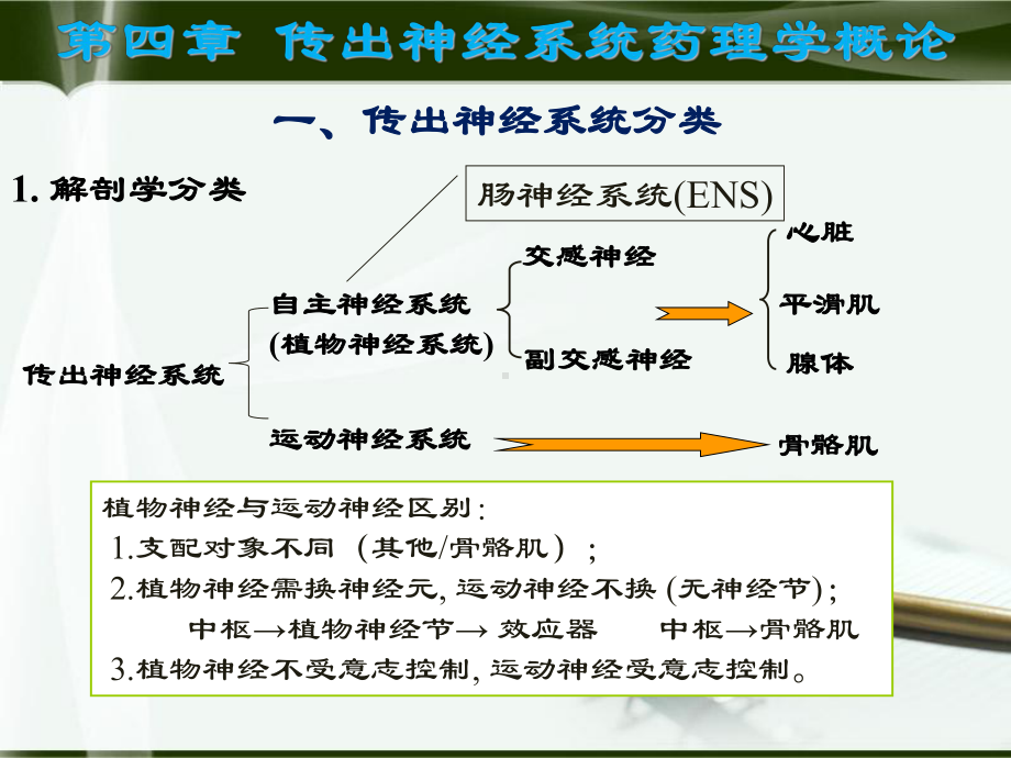 临床药学PPT课件1.ppt_第2页