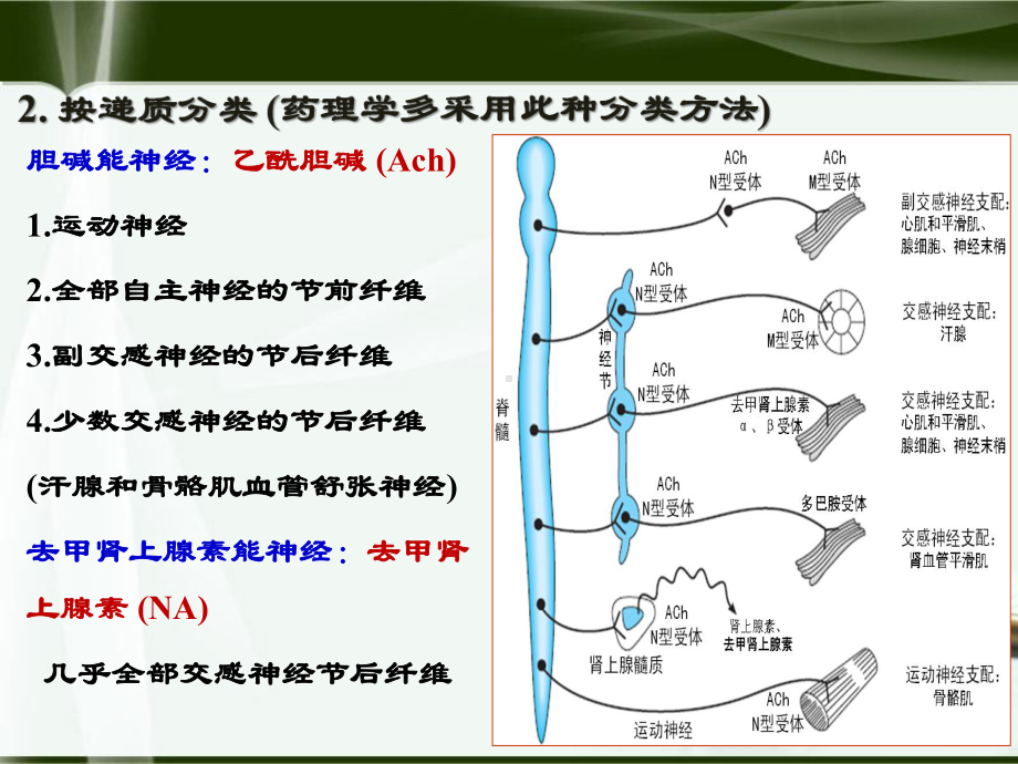 临床药学PPT课件1.ppt_第3页