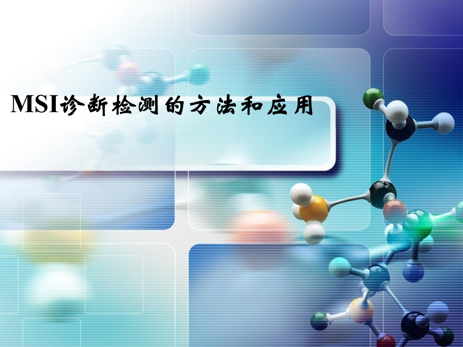 MSI诊断检测方法与应用课件.ppt_第1页