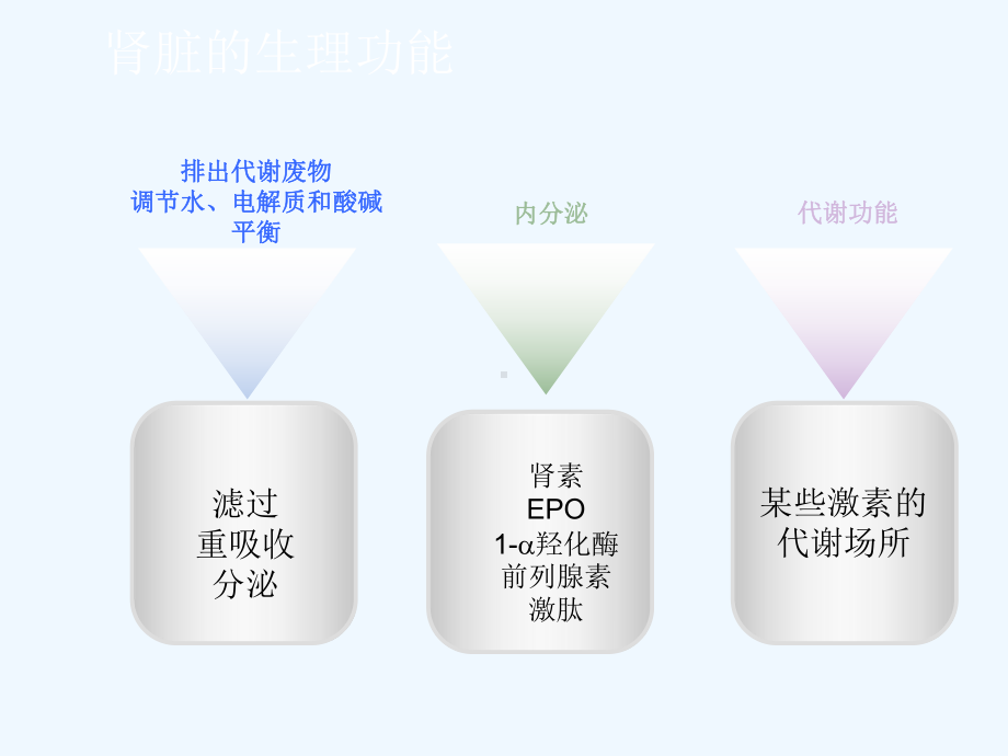 肾内科常见症状课件.ppt_第2页