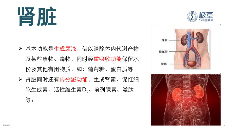 慢性肾脏病-ppt课件.pptx_第2页