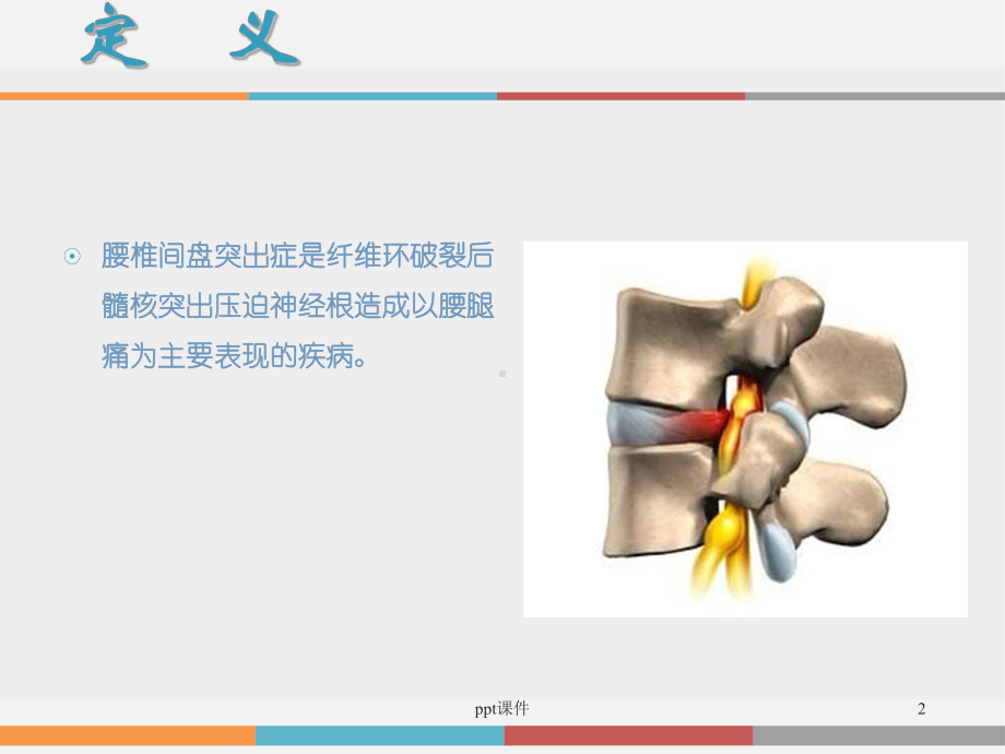 腰椎间盘突出症的诊断和治疗-ppt课件.ppt_第2页