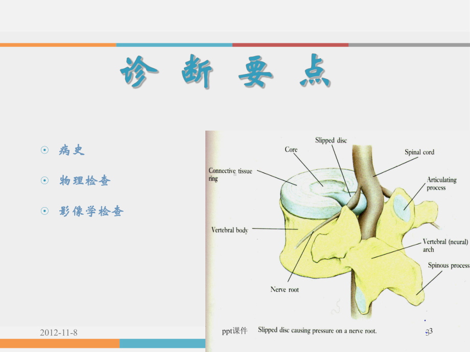 腰椎间盘突出症的诊断和治疗-ppt课件.ppt_第3页