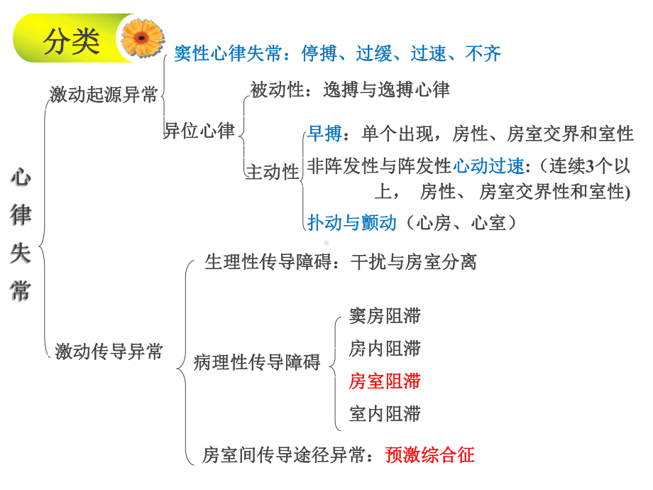 循环系统疾病病人的护理-心律失常-ppt课件.ppt_第3页