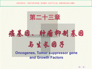 癌基因肿瘤抑制基因和生长因子课件.ppt