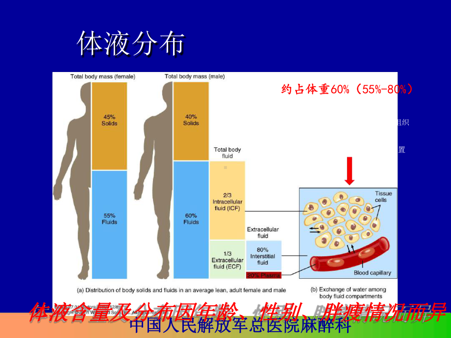 如何进行液体治疗课件.ppt_第2页