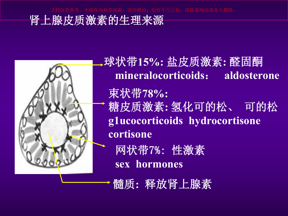 药理学肾上腺皮质激素类药物课件.ppt_第2页