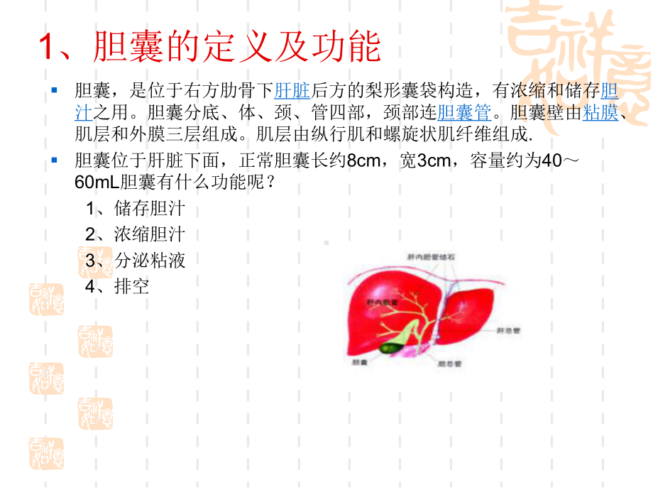 胆囊的解剖位置PPT医学课件.ppt_第3页