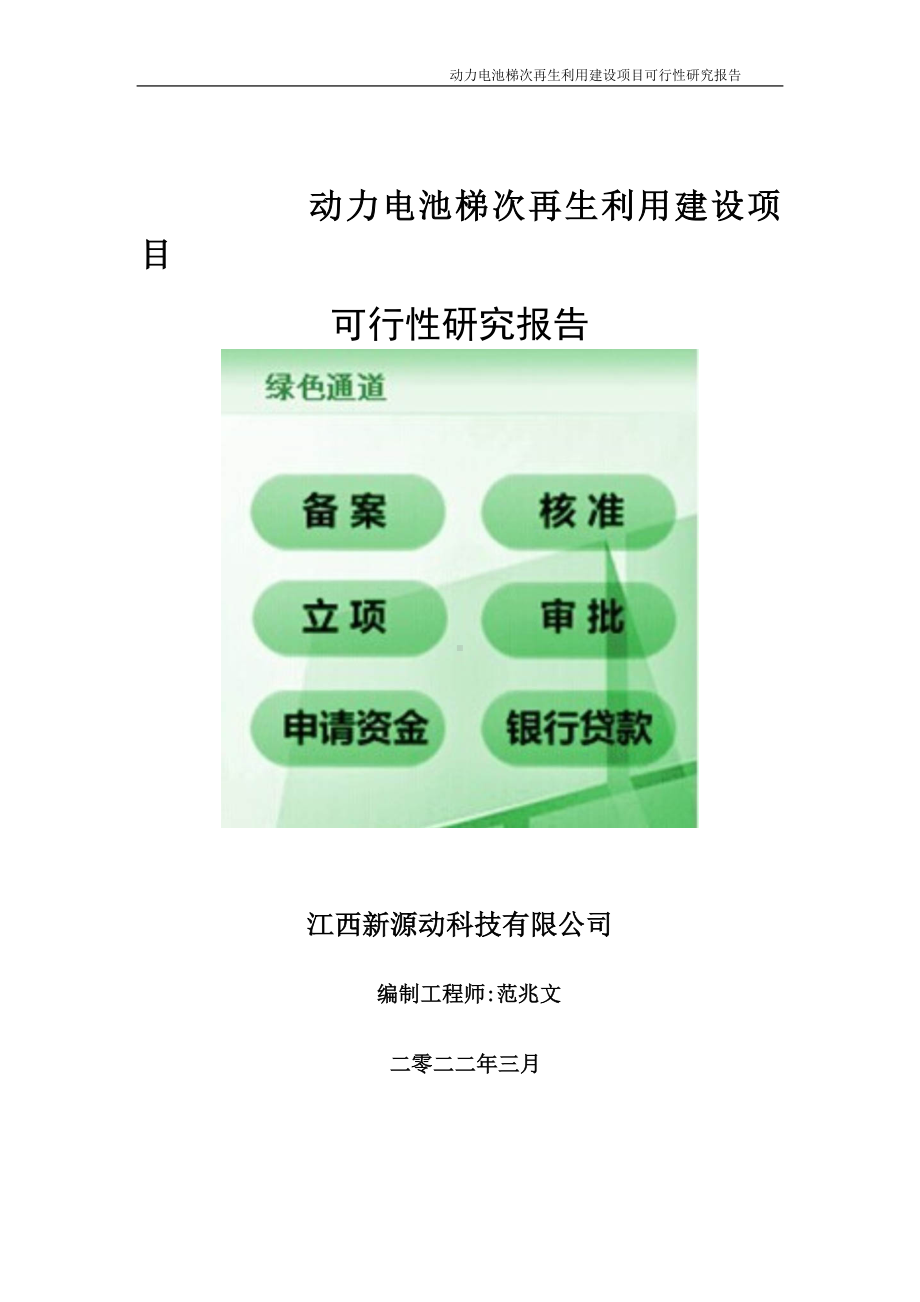 动力电池梯次再生利用项目可行性研究报告-申请建议书用可修改样本.doc_第1页