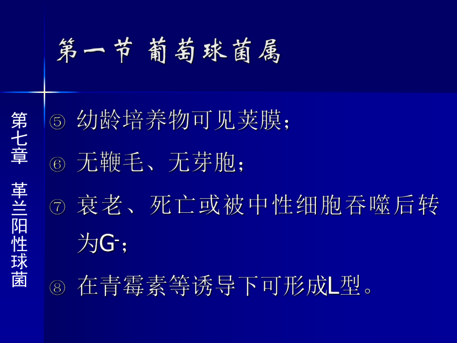 革兰氏阳性球菌课件.ppt_第3页