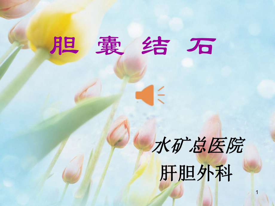 胆囊结石护理ppt课件.ppt_第1页