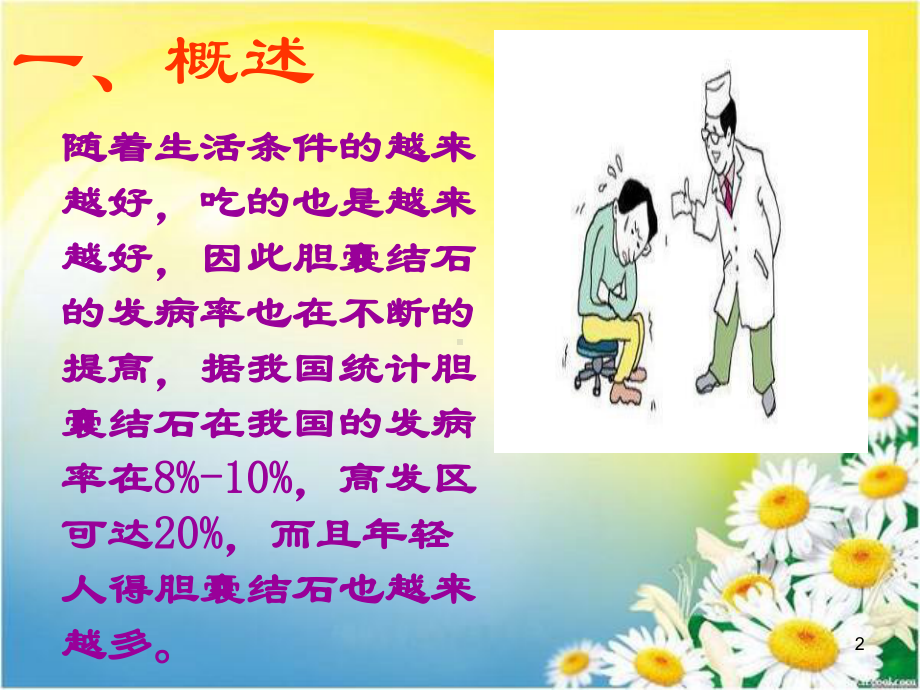 胆囊结石护理ppt课件.ppt_第2页