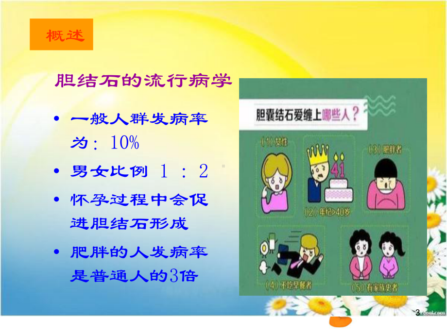 胆囊结石护理ppt课件.ppt_第3页