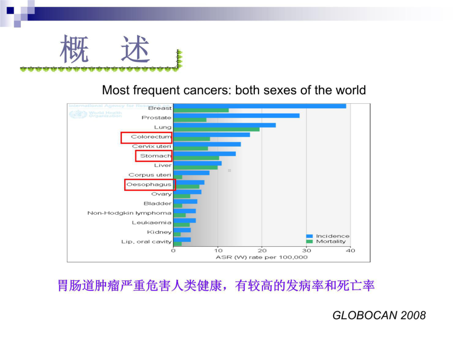 消化道肿瘤诊治现状课件.ppt_第3页