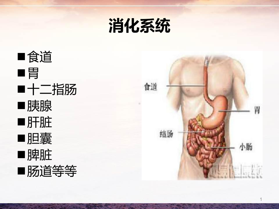 新编消化系统疾病病例分析PPT课件.ppt_第1页