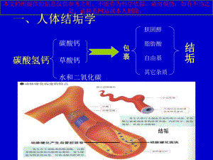 富氢水和疾病治疗培训课件.ppt