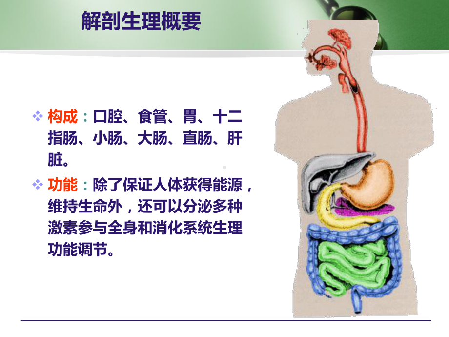 消化系统疾病病人的护理PPT课件.ppt_第2页