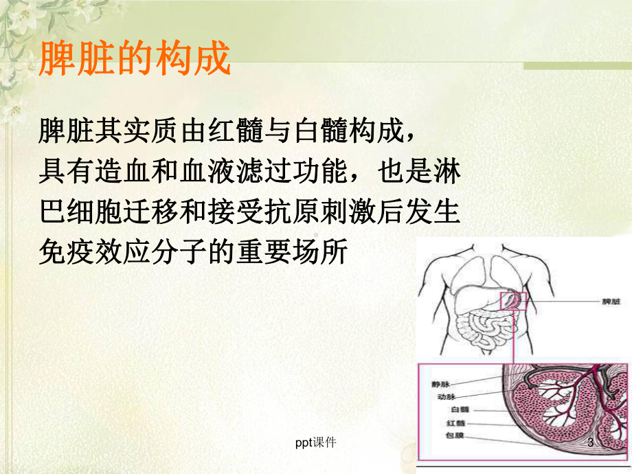 部分脾动脉栓塞的临床应用-ppt课件.ppt_第3页