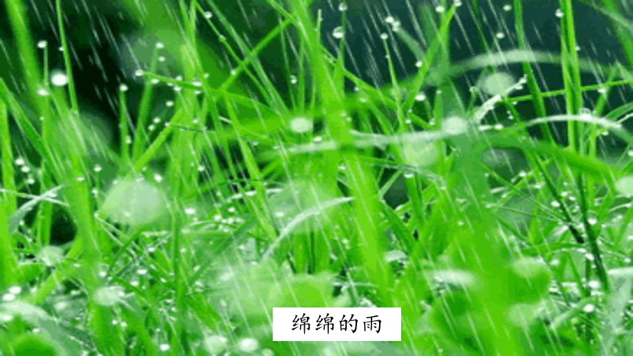 （部编版小学语文六年级下册）古诗词诵读4.《 早春呈水部张十八员外》（课件）.pptx_第3页