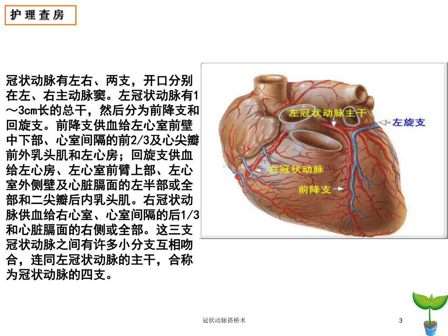 冠状动脉搭桥术培训课件.ppt_第3页