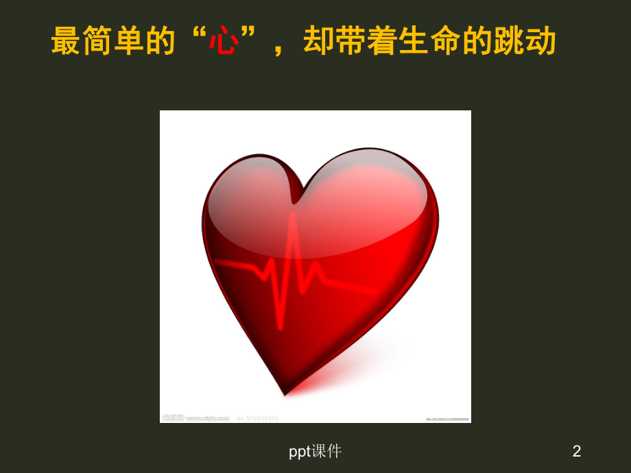 心脏和心脏病-ppt课件.ppt_第2页