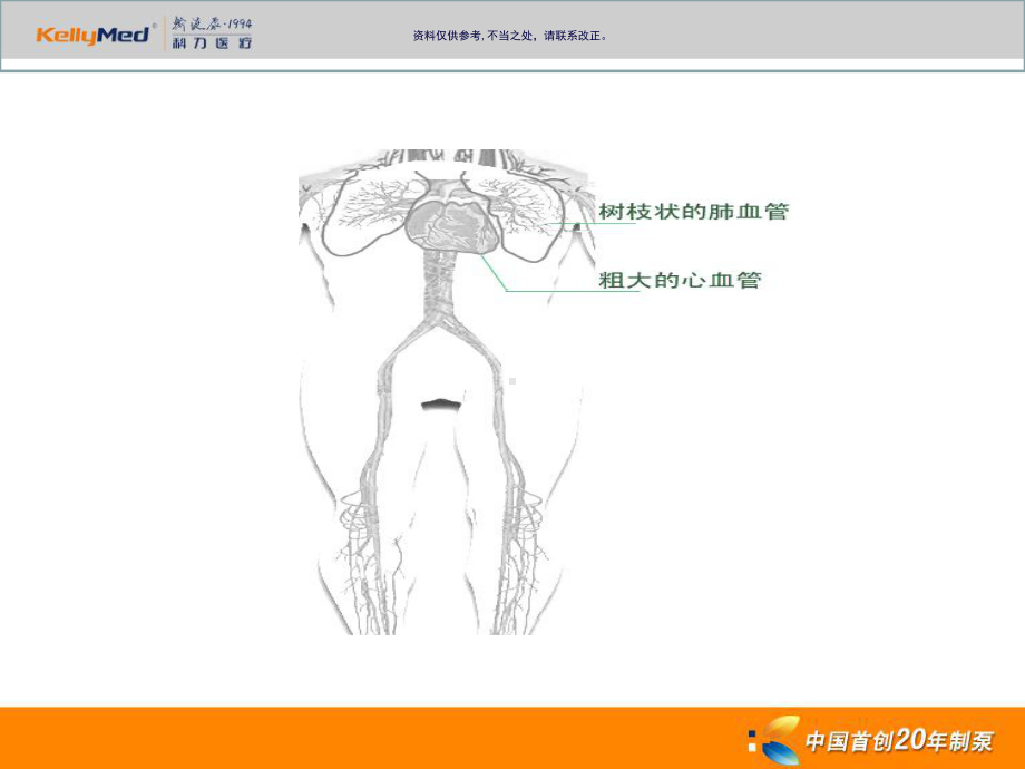 静脉血栓栓塞性疾病的预防课件.ppt_第3页