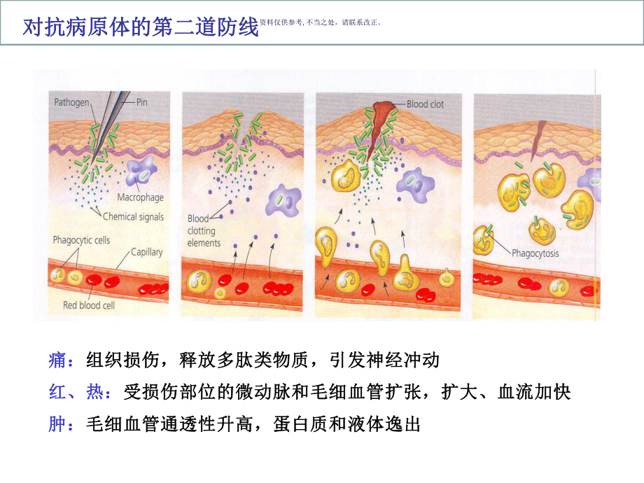 免疫系统和免疫功能课件.ppt_第3页