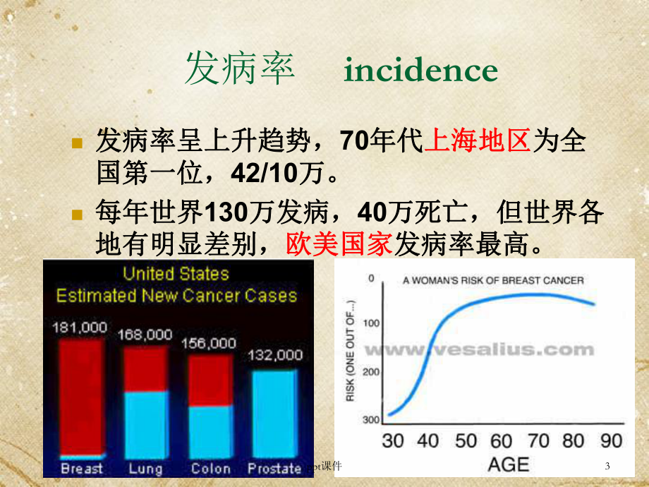 乳癌的诊断与治疗-ppt课件.ppt_第3页