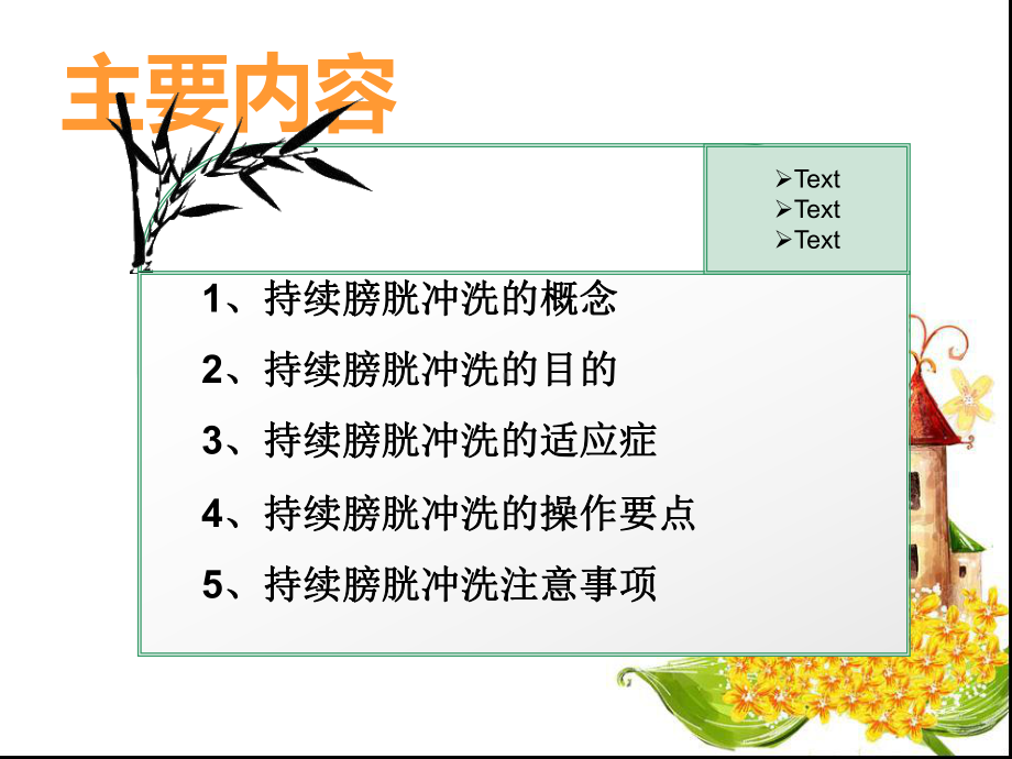 持续膀胱冲洗法课件.ppt_第3页