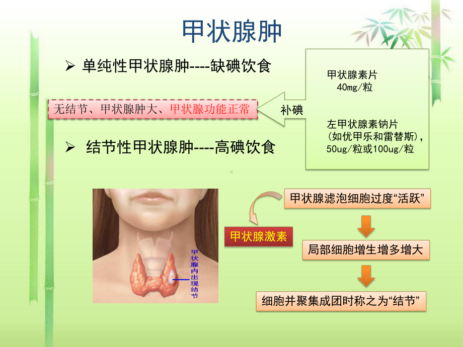 甲状腺课件.ppt_第3页