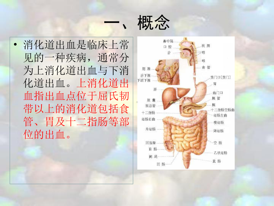 上消化道出血的护理(1)ppt课件.ppt_第3页