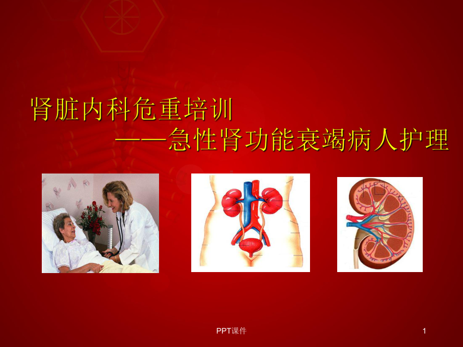 肾脏科危重症-急性肾衰竭护理-ppt课件.ppt_第1页