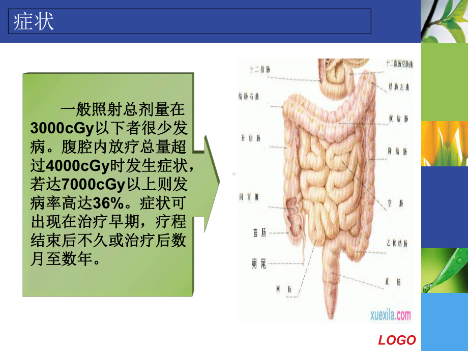 放射性直肠炎护理及相关护理措施精品PPT课件.pptx_第3页