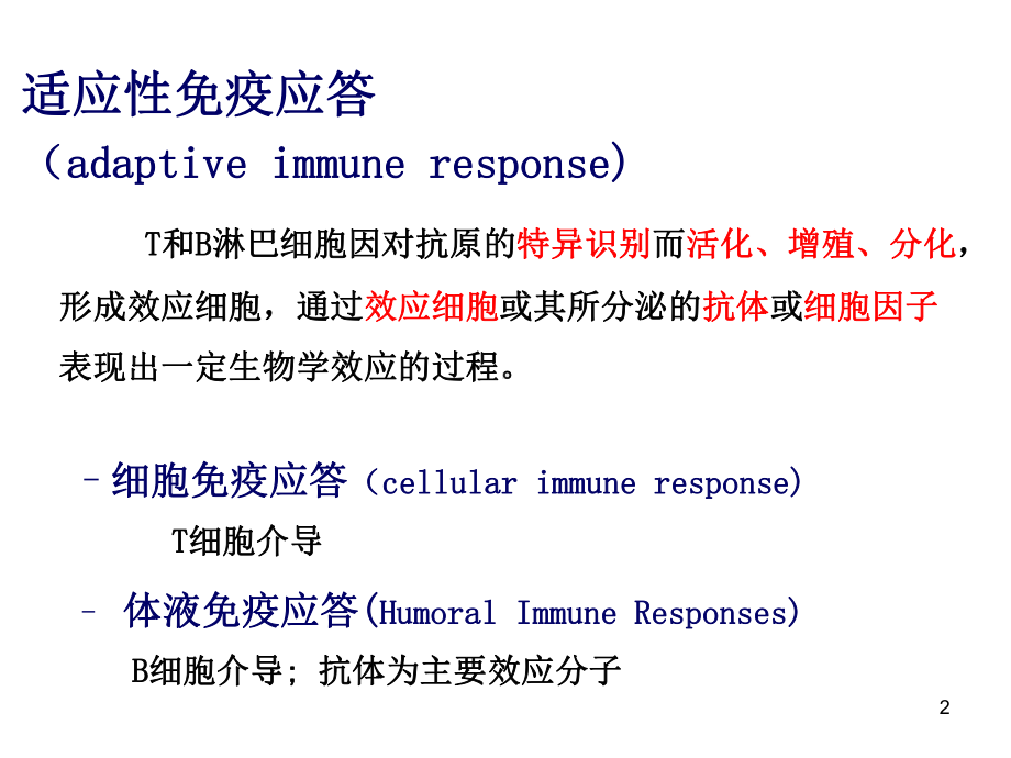 免疫课件细胞免疫应答yin.ppt_第2页