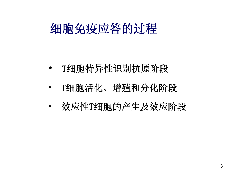 免疫课件细胞免疫应答yin.ppt_第3页