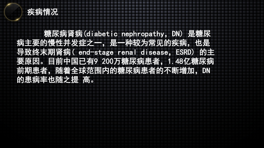 糖尿病肾病的发病机制讨论PPT课件.pptx_第2页