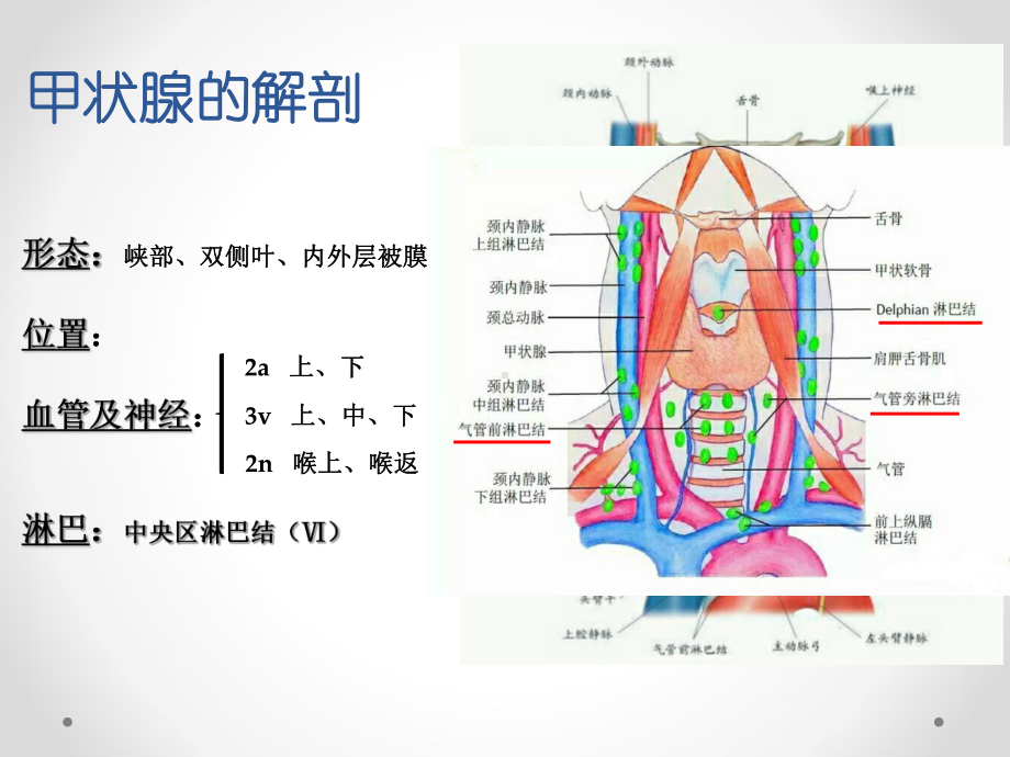 甲状腺癌-PPT精品课件.pptx_第2页