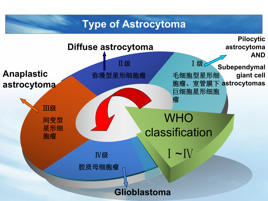 星形细胞瘤课件.pptx_第3页