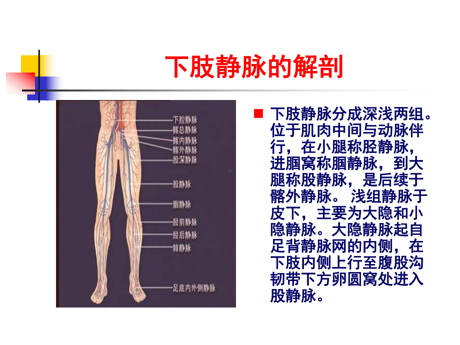 [医药卫生]静脉血栓的诊断和治疗课件.ppt_第2页