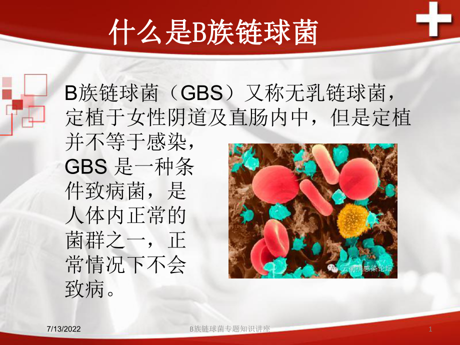 B族链球菌专题知识讲座培训课件.ppt_第1页